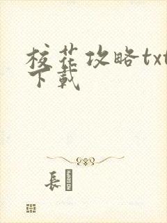 校花攻略txt下载