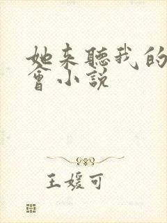 她来听我的演唱会小说