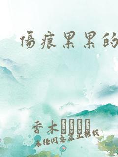 伤痕累累的勋章