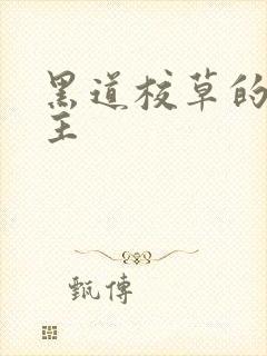 黑道校草的冷公主