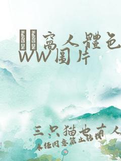 妺妺窝人体色WWW图片