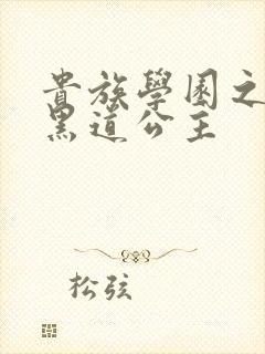 贵族学园之我的黑道公主