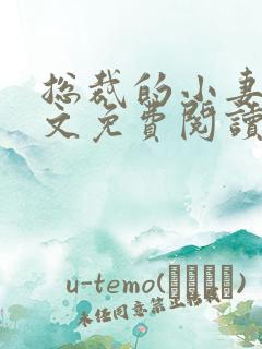 总裁的小妻子全文免费阅读