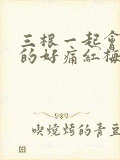 三根一起会坏掉的好痛红梅