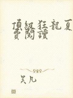 顶级狂龙夏天免费阅读