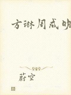 方琳周成明小说