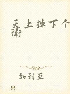 天上掉下个影卫卫