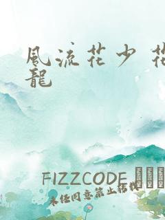 风流花少 花睿龙
