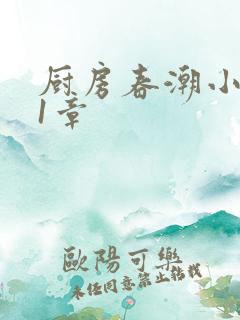 厨房春潮小说第1章