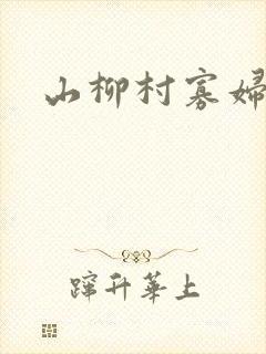 山柳村寡妇情史
