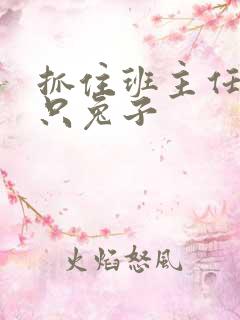 抓住班主任的两只兔子