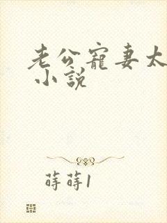 老公宠妻太甜蜜 小说