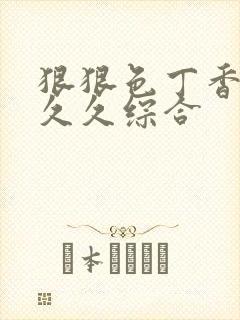 狠狠色丁香婷婷久久综合