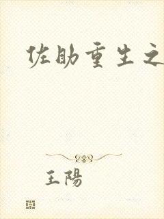 佐助重生之死神