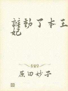 谁动了本王的悍妃