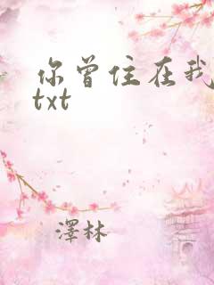 你曾住在我心上txt