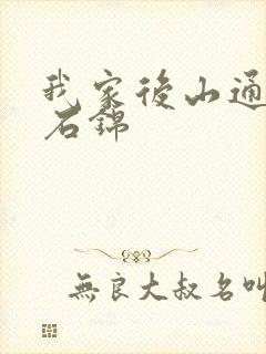 我家后山通仙界石锦