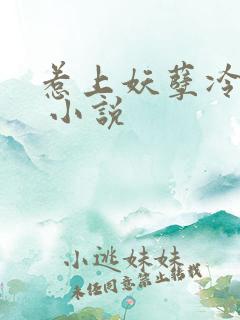 惹上妖孽冷殿下 小说