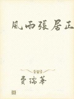 风雨张居正下载