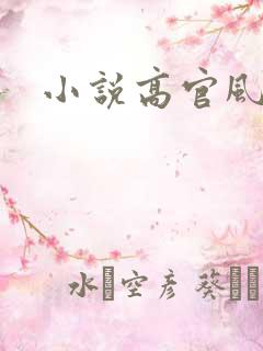 小说高官风流
