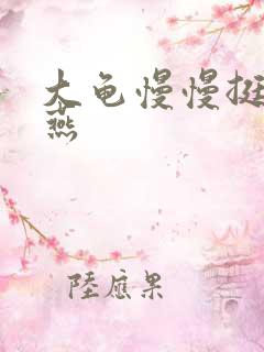 大龟慢慢挺进张燕