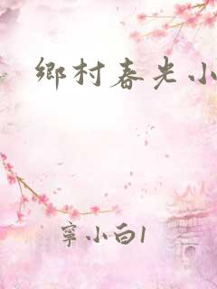 乡村春光小说