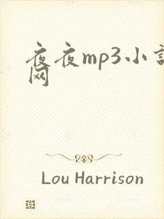 夜夜mp3小说网