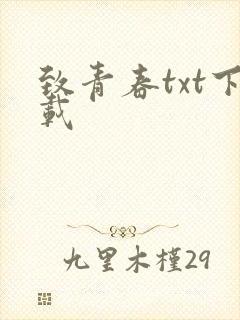 致青春txt下载
