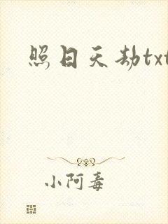 照日天劫txt