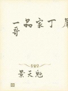 一品家丁 犀利哥