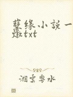 孽缘小说一家乱炖txt