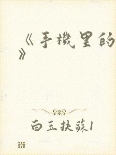 《手机里的秘密》