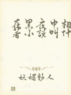 在黑夜中相拥原著小说叫什么