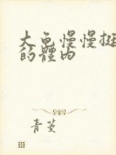 大龟慢慢挺进我的体内