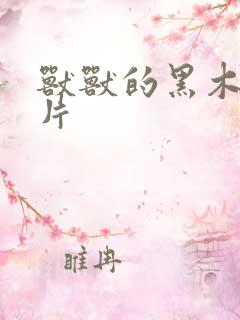 兽兽的黑木耳照片