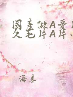 国产做A爱片久久毛片A片小说