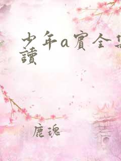 少年a宾全集阅读