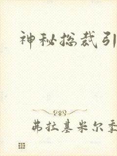 神秘总裁引入怀