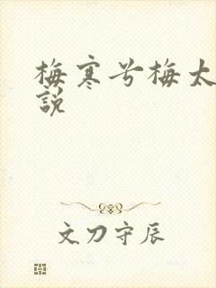 梅寒兮梅太颜小说