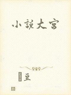 小说大宫