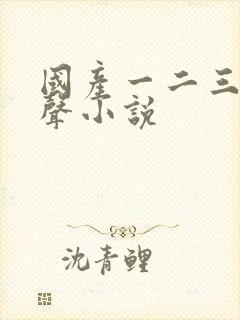 国产一二三区有声小说