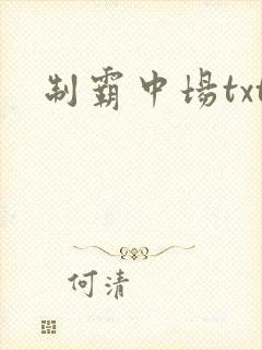 制霸中场txt