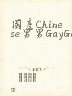 国产Chinese男男GayGayAPP