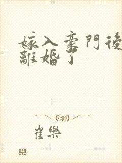 嫁入豪门后我又离婚了