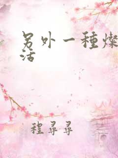 另外一种灿烂生活