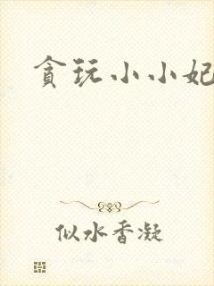 贪玩小小妃