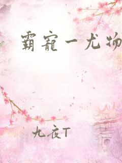 霸宠一尤物老婆