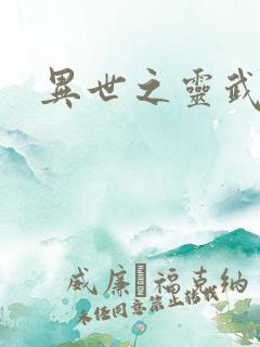 异世之灵武天下