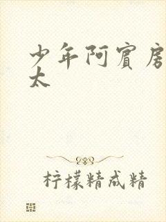 少年阿宾房东太太