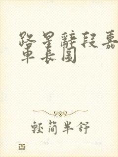 路星辞段嘉衍肉车长图
